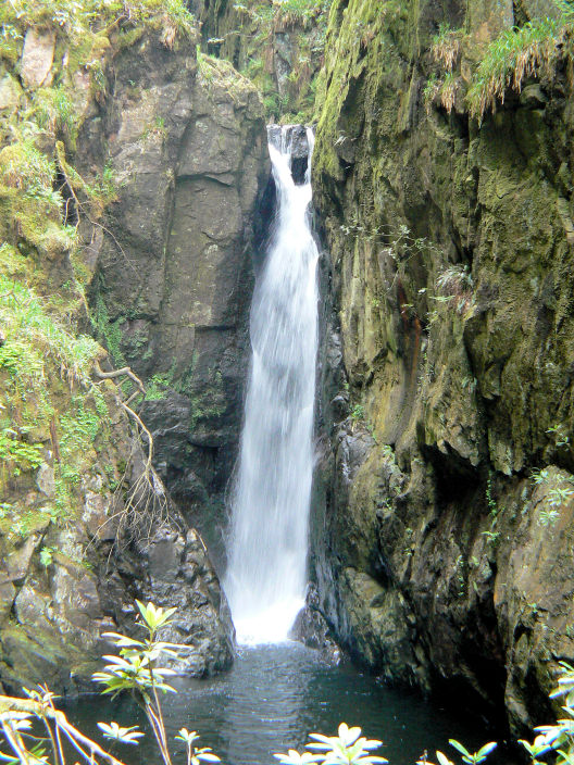 Stanley Force Stanley Force
